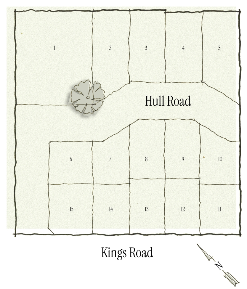 land